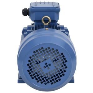 Motor Electric Trifazic Aluminiu 3Kw/4Cp 2 Poli 2840 Rpm