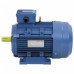 Motor Electric Trifazic Aluminiu 3Kw/4Cp 2 Poli 2840 Rpm