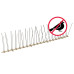 Set Bandă Cu Țepi Antipăsări Cu 4 Rânduri 20 Buc. Plastic 10 M