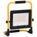Proiector Cu Led Și Mâner, Alb Rece, 100 W