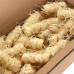 Aprinzătoare Pentru Foc Bio 5 Kg