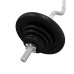 Set De Halteră Cu Discuri, 30 Kg, Fontă Și Oțel Cromat