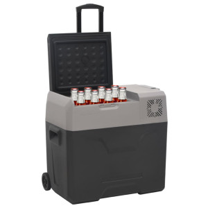 Ladă Frigorifică Cu Roată Și Mâner 50 L Negru/Gri Polipropilenă