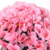 Ghirlande De Flori De Crăciun, 3 Buc., Roz, 85 Cm