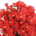 Ghirlande De Flori De Crăciun, 3 Buc., Roșu, 85 Cm