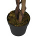 Arbore De Arțar Artificial 672 De Frunze 180 Cm Verde