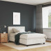 Vopsea De Perete Antracit 16.5 X 16.5 X 15.9 Cm
