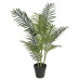 Palmier Artificial, Verde, 80 Cm, Pp