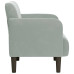 Canapea Scaun Cu Cotiere Gri Deschis 54 Cm Catifea