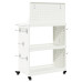 Cărucior Pentru Unelte Cu Raft Cu Roata Alb 65 X 35 X 111 Cm