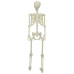Schelet De Halloween Alb 155 X 38.5 Cm Plastic