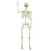 Schelet De Halloween Alb 155 X 38.5 Cm Plastic