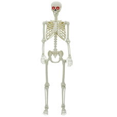 Schelet De Halloween Alb 155 X 38.5 Cm Plastic