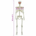 Schelet De Halloween Alb 155 X 38.5 Cm Plastic